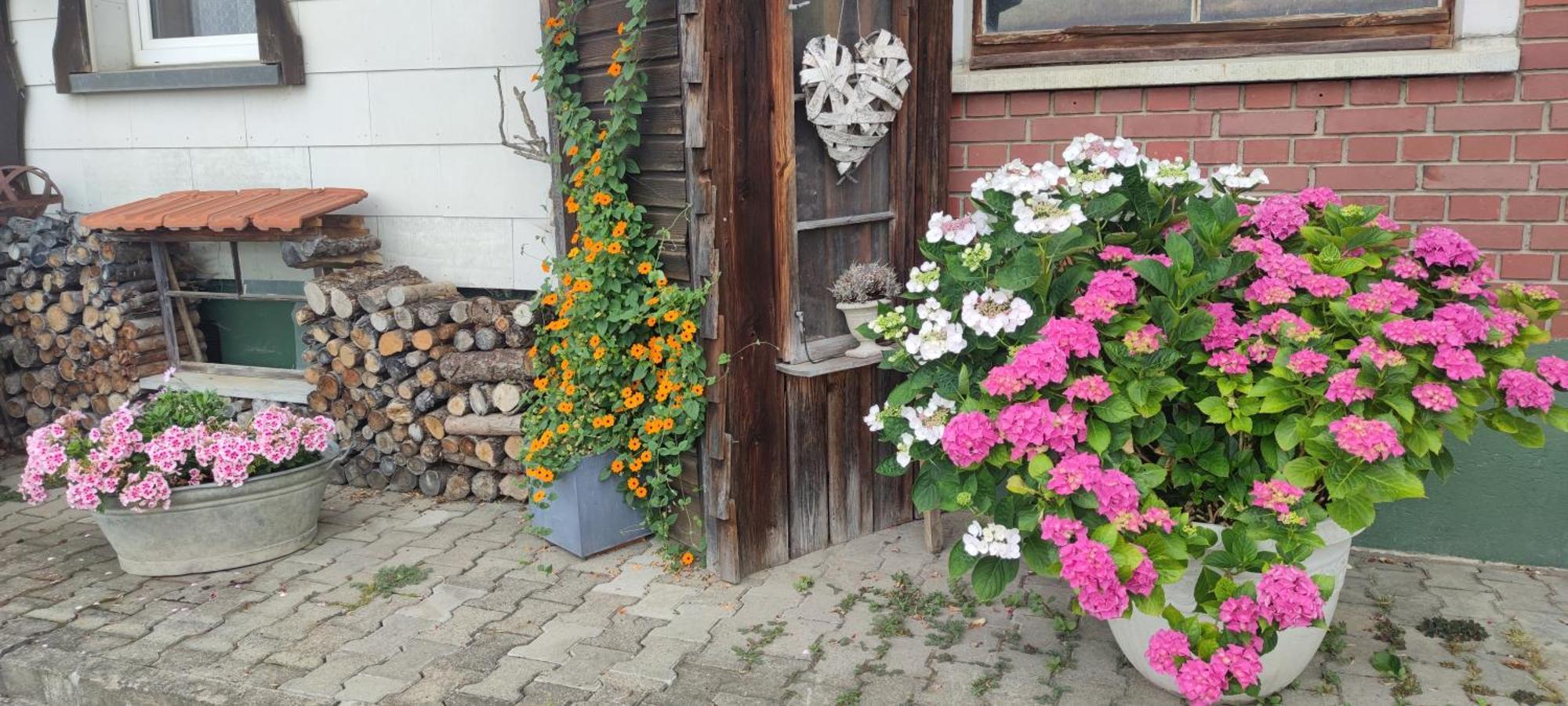 Hergensweiler Gaestehaus Fechtig المظهر الخارجي الصورة