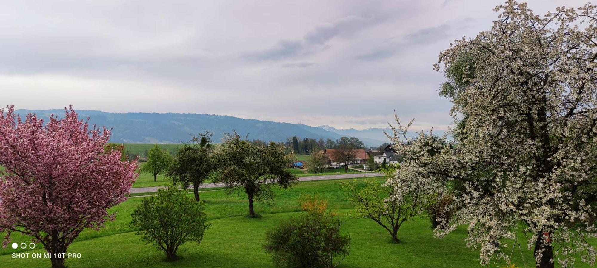 Hergensweiler Gaestehaus Fechtig المظهر الخارجي الصورة